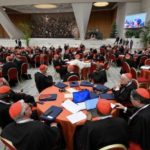 Nový druh pastoračnej rady